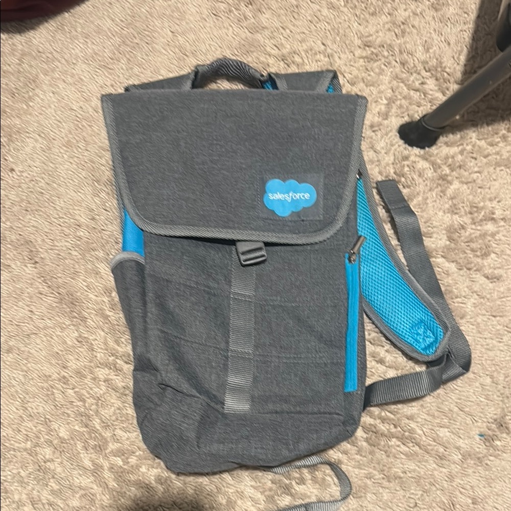 Gray and Blue Men's Backpack